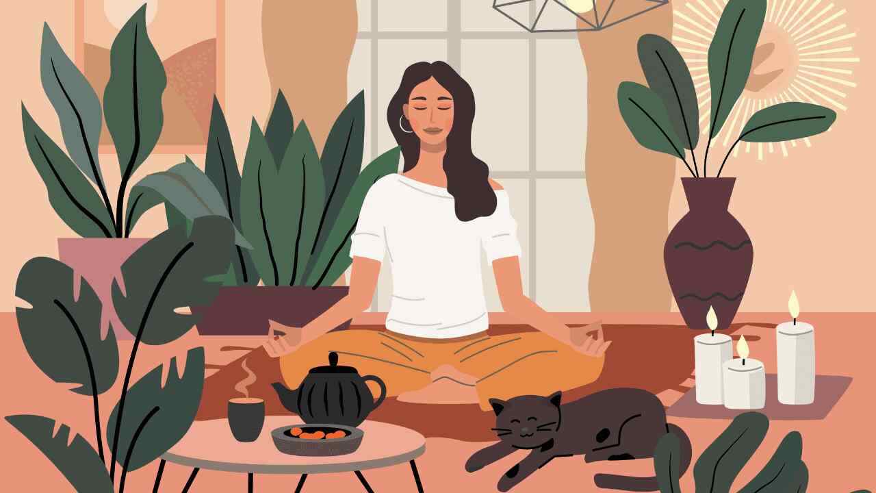 Beginner's Guide: 6 Meditation and Mindfulness Techniques to Transform Your Life